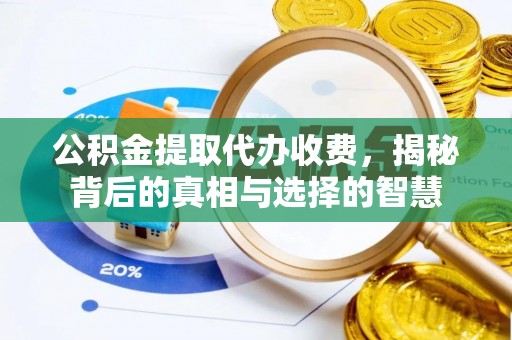 海丰公积金提取代办收费，揭秘背后的真相与选择的智慧