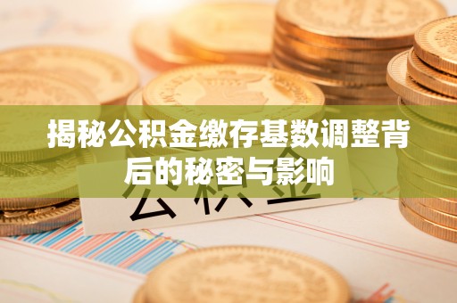 海丰揭秘公积金缴存基数调整背后的秘密与影响