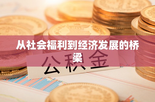 海丰从社会福利到经济发展的桥梁