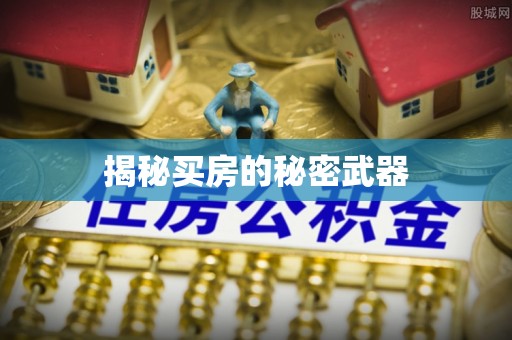 海丰揭秘买房的秘密武器