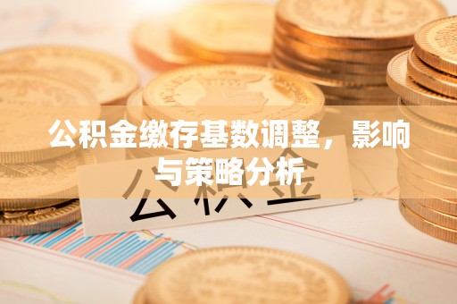 海丰公积金缴存基数调整，影响与策略分析