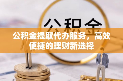 海丰公积金提取代办服务，高效便捷的理财新选择