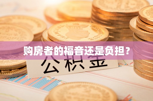 海丰购房者的福音还是负担？