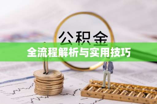 海丰全流程解析与实用技巧
