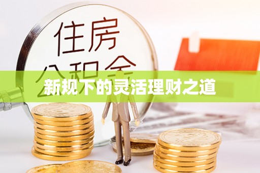 海丰新规下的灵活理财之道