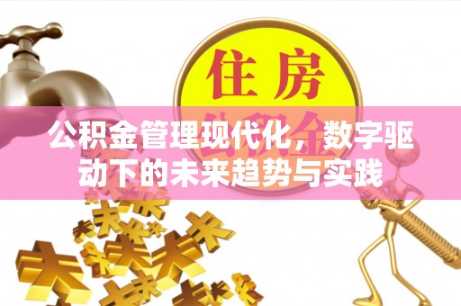 海丰公积金管理现代化，数字驱动下的未来趋势与实践