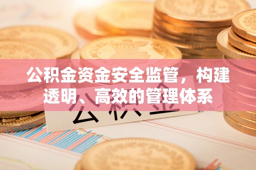海丰公积金资金安全监管，构建透明、高效的管理体系