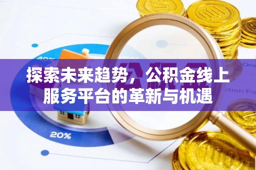 海丰探索未来趋势，公积金线上服务平台的革新与机遇