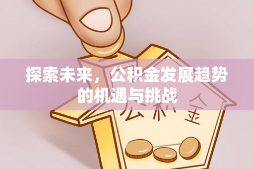 海丰探索未来，公积金发展趋势的机遇与挑战
