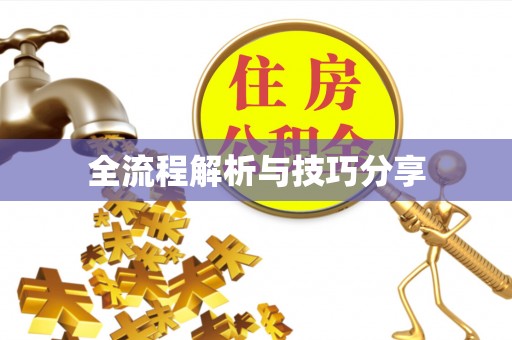 海丰全流程解析与技巧分享